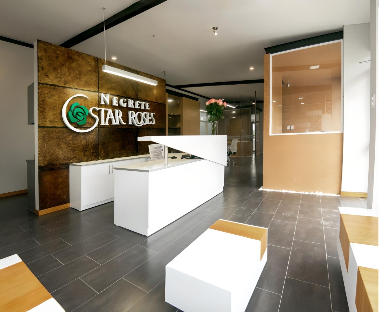 4Studio.com.ec | Oficina Star Roses